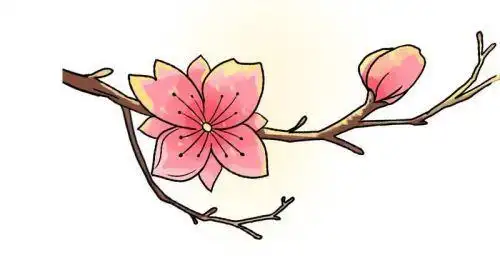 带颜色古风桃花简笔画怎么画简单又好看桃花简笔画教学步骤