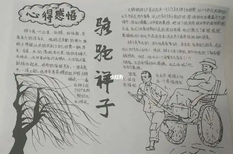 骆驼祥子手抄报