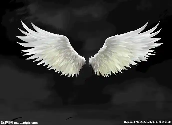 psd(cs6)颜色:rgb元(cny)举报收藏立即下载关 键 词:白色的翅膀 天使