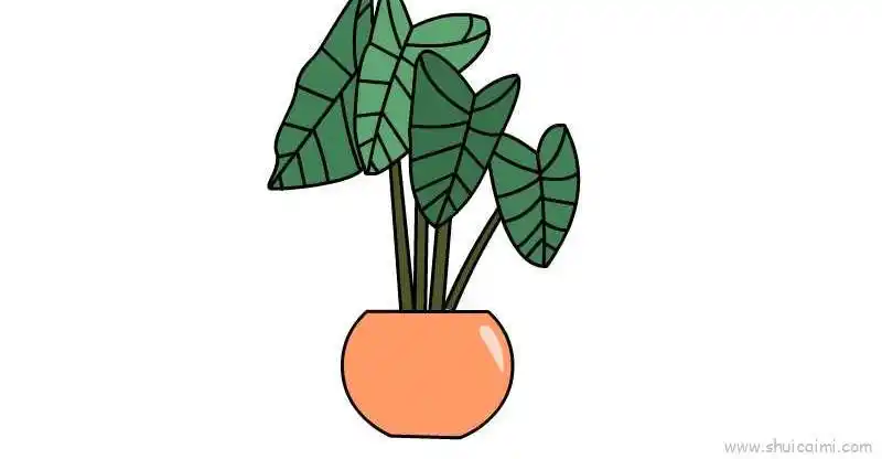 芋头儿童画怎么画 芋头简笔画步骤