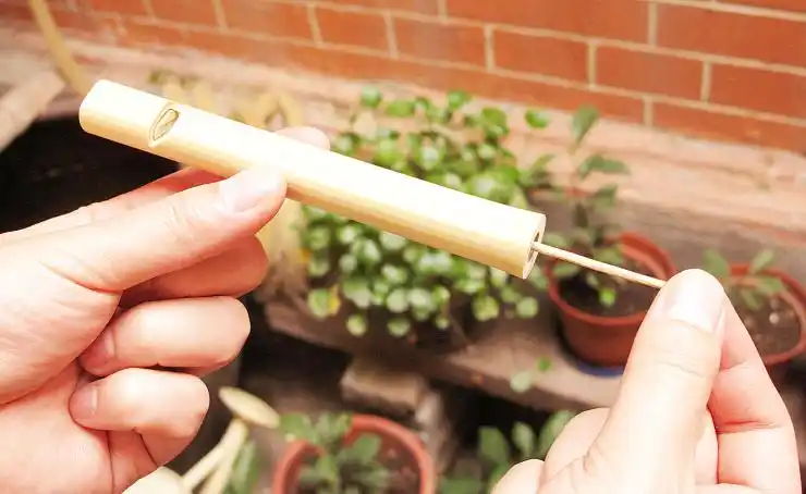 西湖岛屿上卖的像鸟叫的乐器下面有拉的铁丝是什么