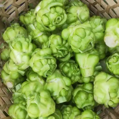 四川蔬菜  #你认识这个菜吗