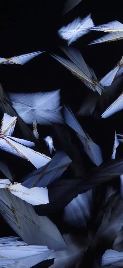 人人都是艺术家coloros11无限息屏壁纸绝美