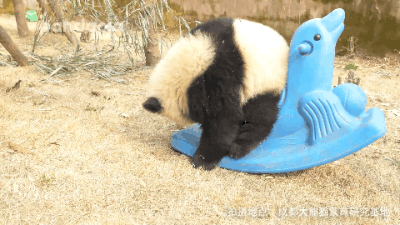 400_225gif 动态图 动图