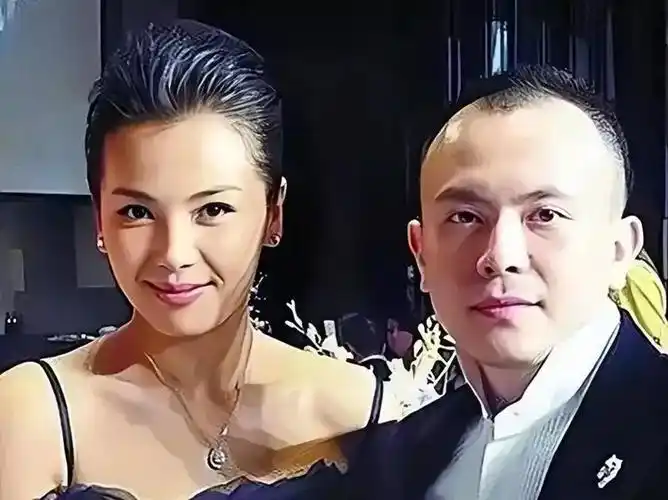 揭秘刘涛老公不为人知的投资失败惨赔20亿还有私生子她绝望了