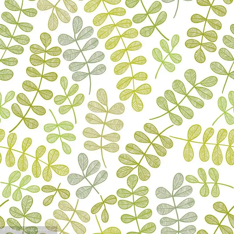 简单的花卉图案