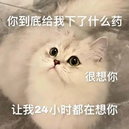 宝我想你了好难受啊什么歌曲(宝我想你了好难受啊什么歌曲小说)