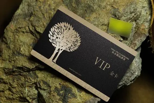 央音 网络课堂 音乐教学 会员卡 听课卡 vip卡 效果图