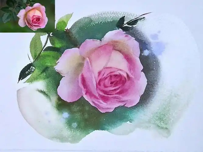 水彩花卉/单朵花卉粉色教程