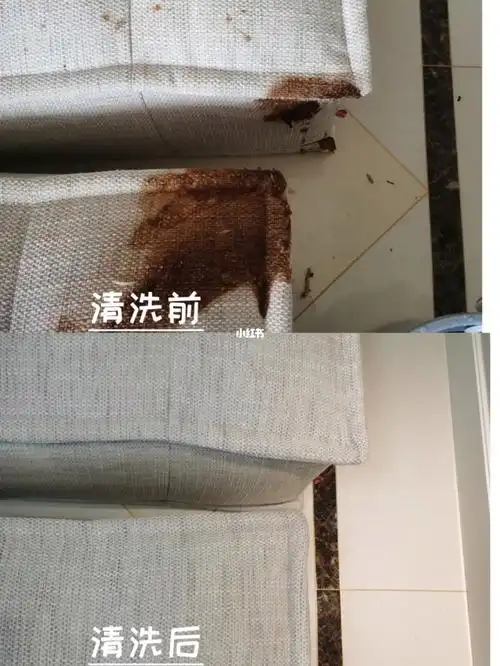布艺沙发清洗