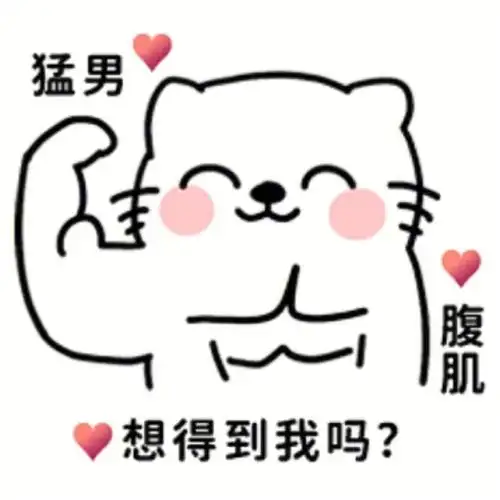猫咪表情包推荐