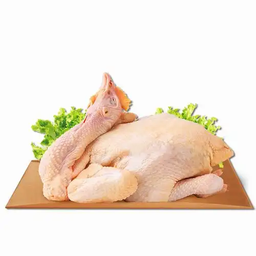 老母鸡功效与作用禁忌脾胃虚弱的病人最好是还是不必去摄取柴鸡