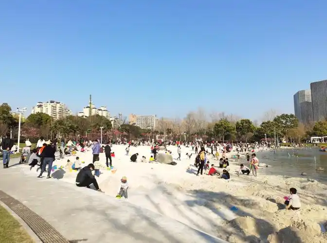 大宁郁金香公园的白沙滩