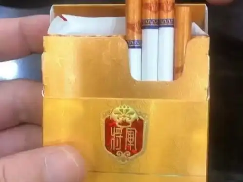 山东 泰山将军 金将中支