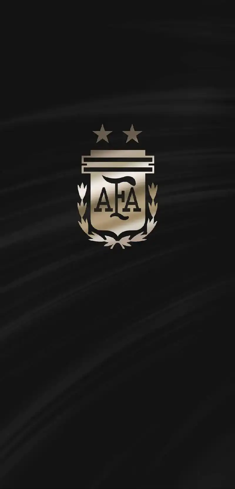 2022卡塔尔世界杯c组黑金壁纸 - 抖音