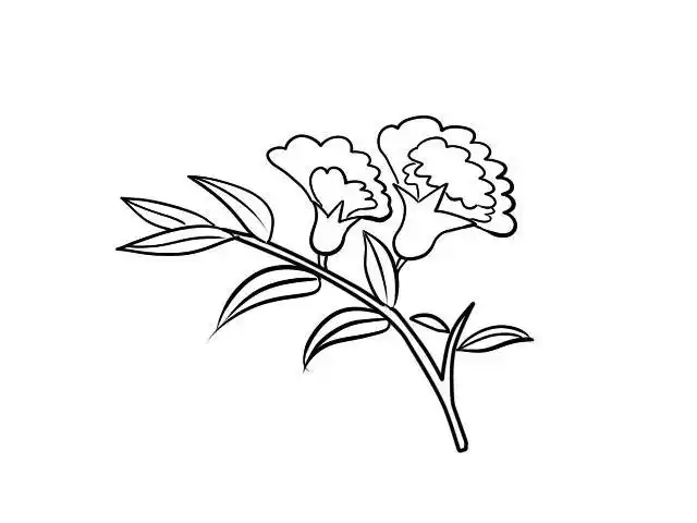 石榴花简笔画石榴花简笔画简单又漂亮