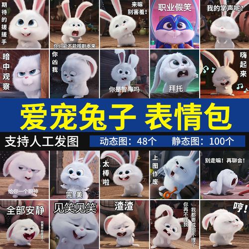 兔子表情包 爱宠大机密萌兔搞怪卖萌可爱搞笑聊天怼人斗图表情图