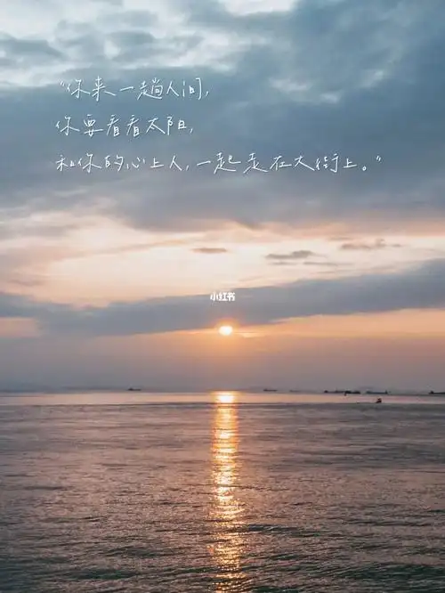 旅行_文案_治愈_风景_鳕鱼_夕阳_金丝猴怎么样_旅行文案_素材_巫种