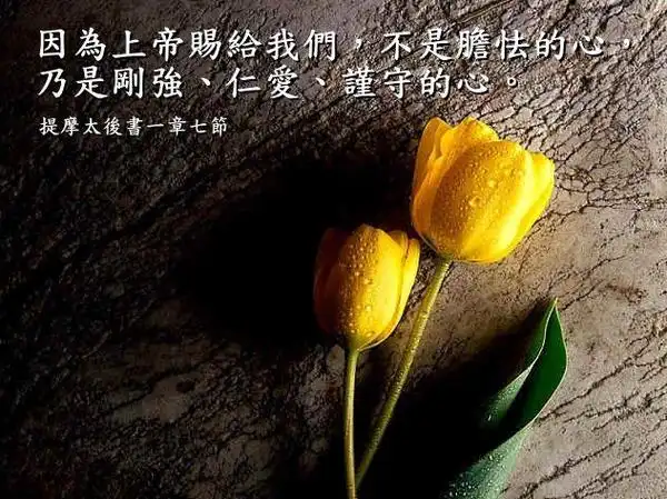 改变人生的四十句圣经金句(11-20)