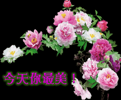 老年人表情包_腾讯新闻