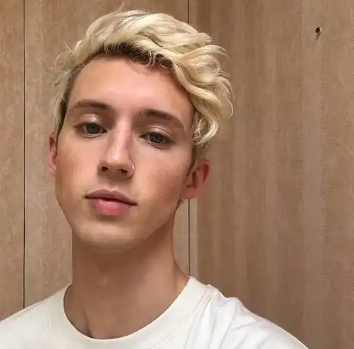 戳爷 troye sivan 特洛耶希文 近期 自截 ins [杨晋戈]