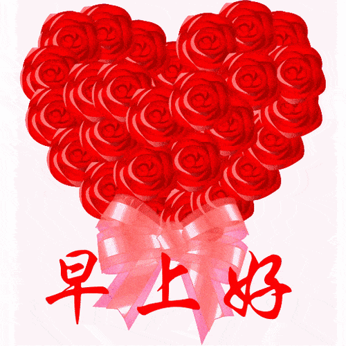 很唯美的早安图片带字,漂亮好看的鲜花早上好问候语图片