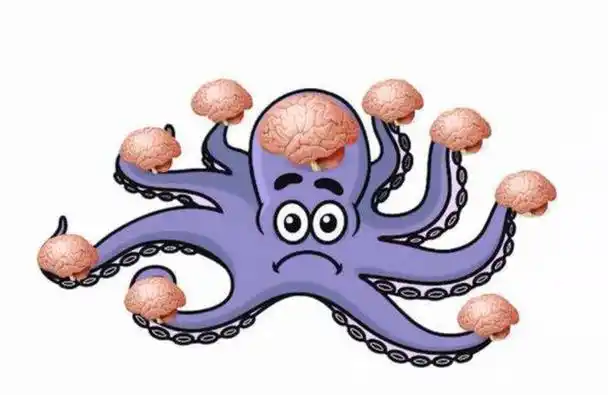 章鱼有9个大脑可以编辑基因,智商高到无法理解,却没发展出文明