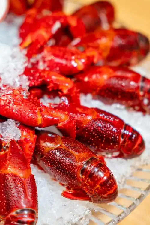 小龙虾##不可辜负的美食##今年吃的第一顿小龙虾