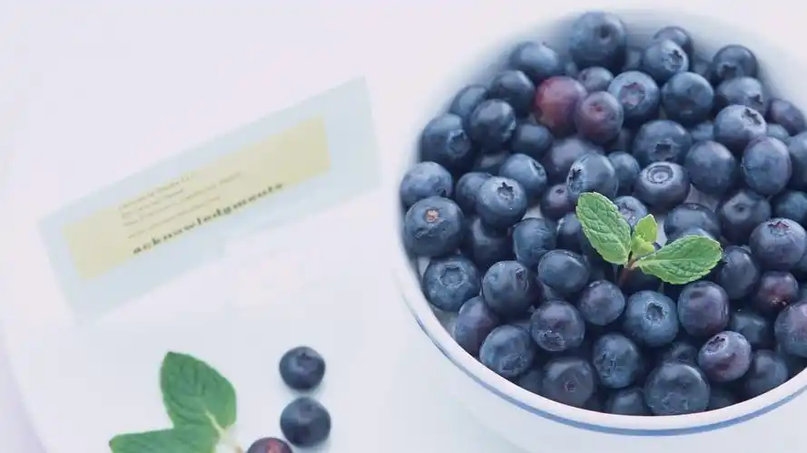 蓝莓水果宽屏桌面壁纸,风景壁纸,宽屏,水果,好看,食物,蓝莓,壁纸,1920