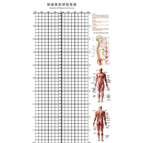 体态评估工作室墙纸私教运动保健中心瑜伽壁纸定制壁画
