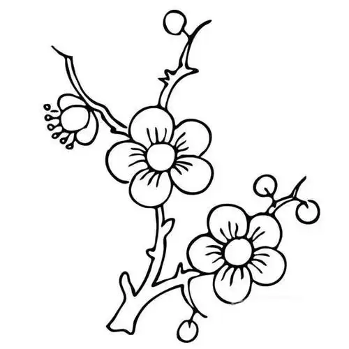 梅花简笔画图片大全_梅花怎么画_儿童梅花简笔画的画法_亲子简笔画