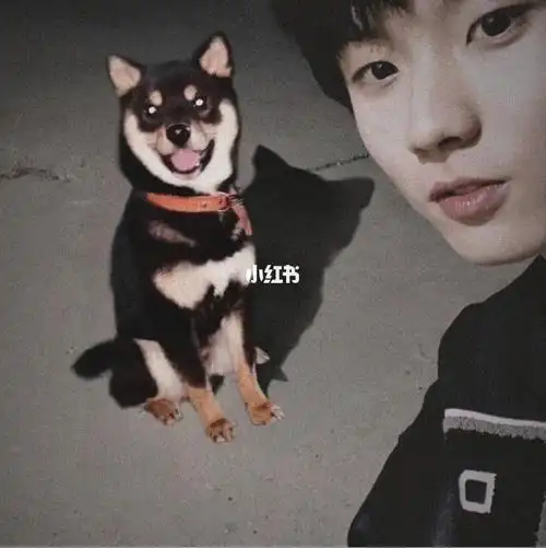 马嘉祺  #柴六斤