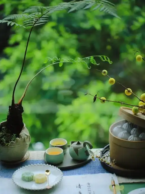 读禅语,听禅意;共悟人生,净化心灵