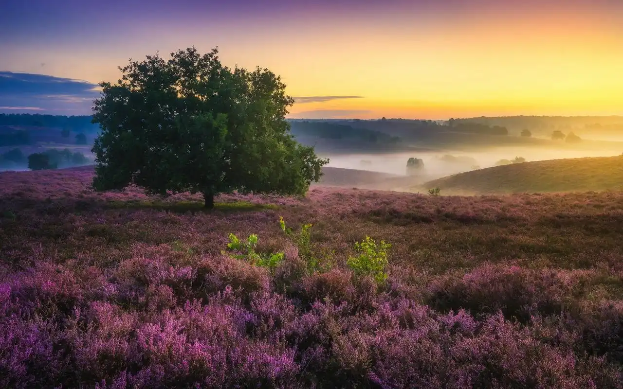 壮观美丽的大自然风景电脑桌面壁纸_风景壁纸_壁纸下载_美桌网
