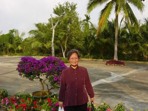 我的大 半辈子数码照片(二)2003年