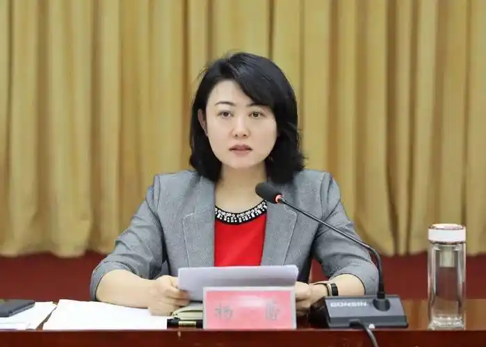 杨蕾:聚焦"四个坚持" 提升服务效能 确保优化营商环境始终保持"进行时