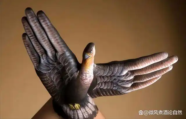 自然之美,爱在大爱之磅礴,用手模仿出来的动物图案,美不胜收