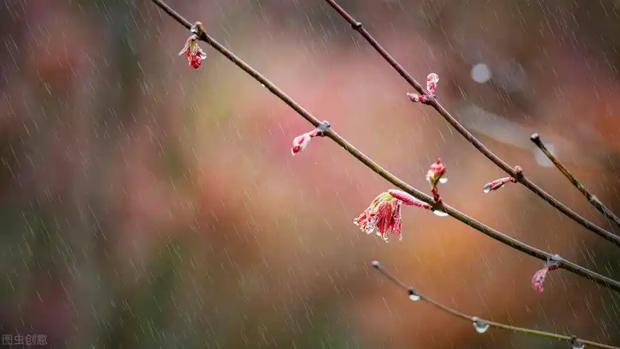关于下雨的说说唯美配图「搞笑」 _qq说说网