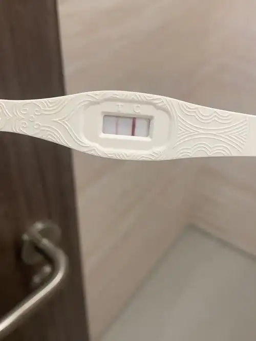 去年11月怀孕一次,12周做nt发现胎停在8周 4,当时难过的日子都不知道