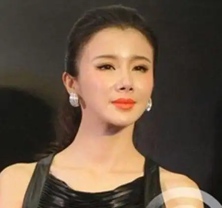 看到孙菲菲现在的样子感觉她的初衷是想转型性感,但是.还是原装的好啊