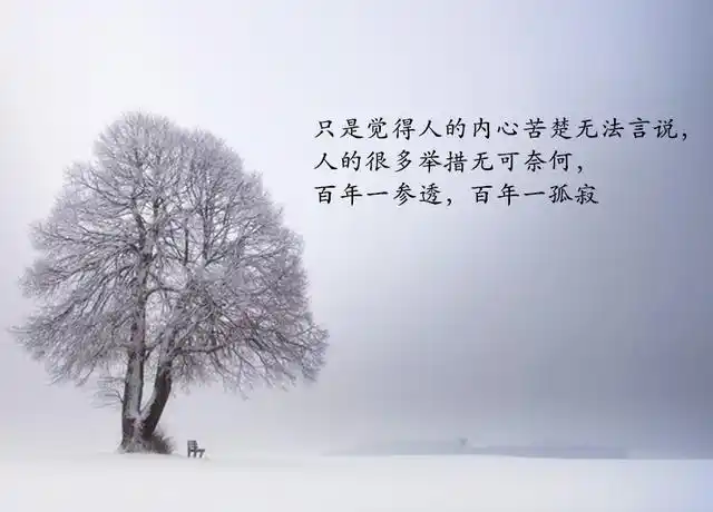 百年孤独读后感百年孤独百年一渗透百年一孤寂体会这孤独的文字