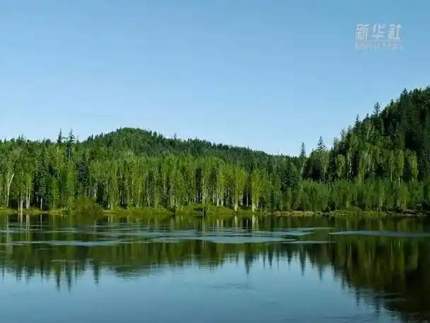 6万亿元,不仅守护着我国东北平原万亩良田,更对整个东北亚地区的气候