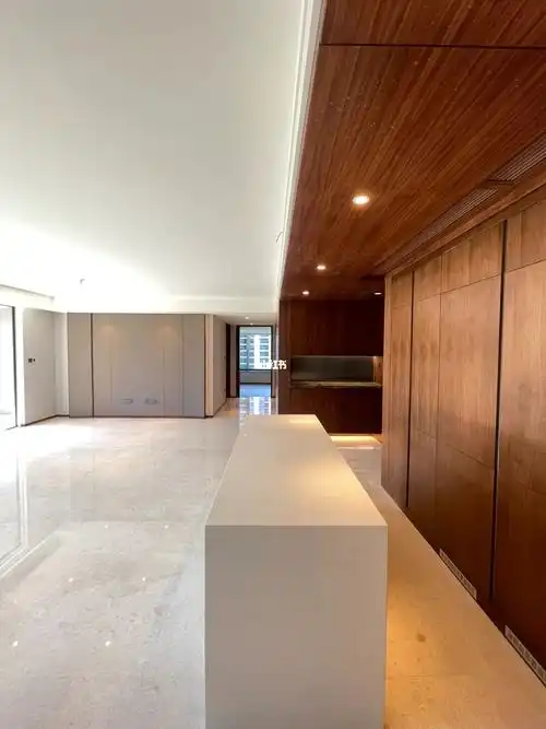 杭州61仁恒滨江园193㎡全新西边套出租