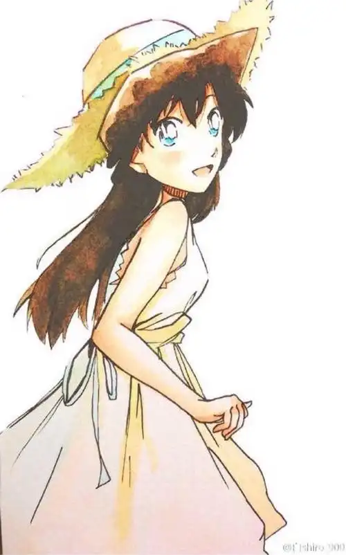 毛利兰 名侦探柯南