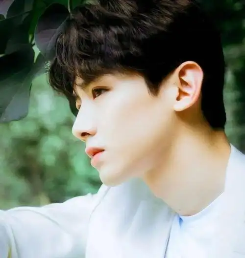 微信头像白敬亭