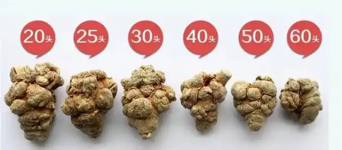 [跟我学中草药]三七"与"土三七",一字之差,吃错可能致命