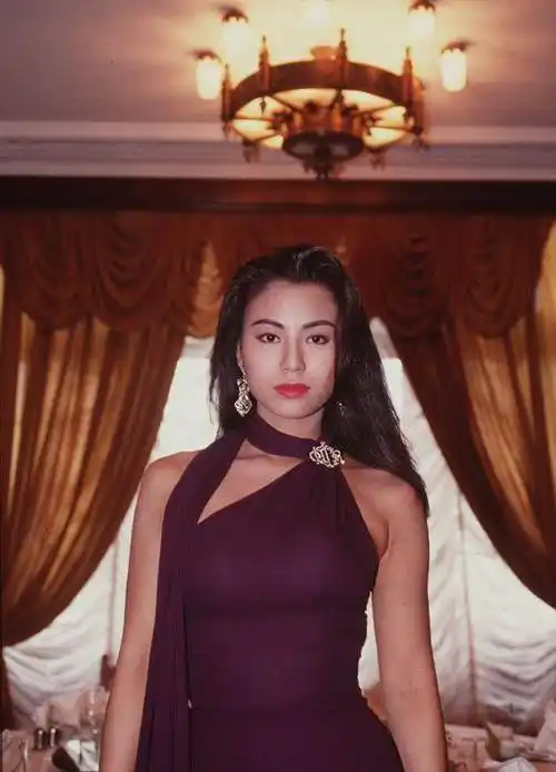 原创老港片霸王花你还记得吗那些英姿飒爽的女警们现况如何了呢