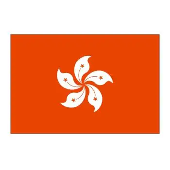 谈判旗外国旗 区旗公司旗 双层加厚亮光 定制旗子1面 中国香港 3号