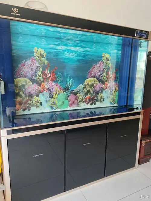 鱼缸水族箱 - 二手市场 - 邻友圈