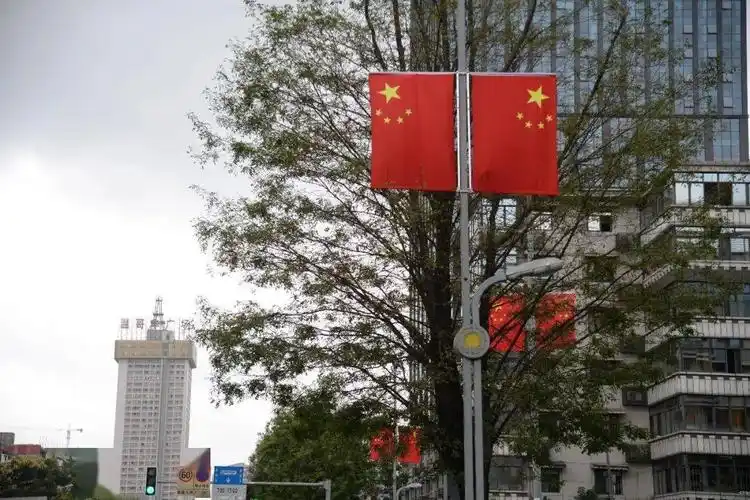 东路),蓉都大道(钟楼至电子路)5条道路两侧的路灯杆上悬挂国旗612套